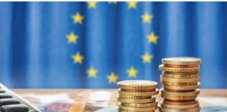 Tameio Anakampsis 1 1.jpg