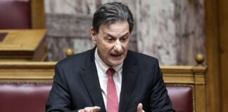 Theodwris Skylakakis 1 1.jpg