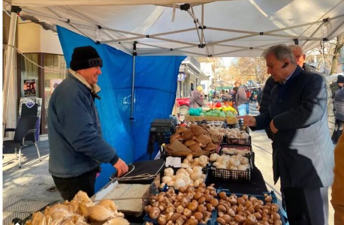 agores 1 1.jpg agores 1 1.jpg