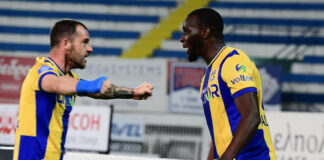 asteras 1.jpg