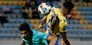 asteras 4.jpg