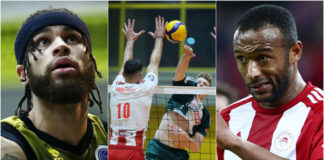 collage.jpg