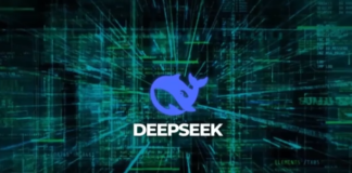 deepseek 1.png