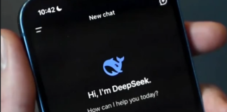 deepseek.png
