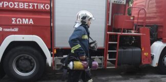 ds1 52611528175758 1024x684 1.jpg