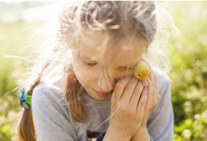 epidoma paidioy 1.jpg