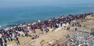 gaza23.png