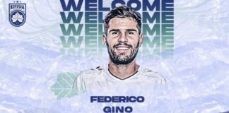 gino.jpg