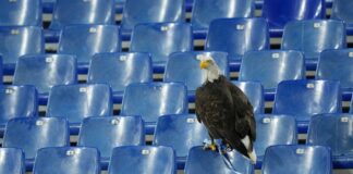lazio 1.jpg