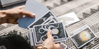 provlepseis taro 679552d6e263c.jpg