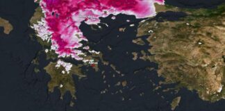 snow moloc 110125.jpg