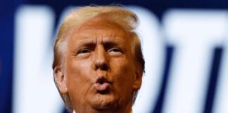 state college pennsylvania october 26 600nw 2543528627 1.jpeg