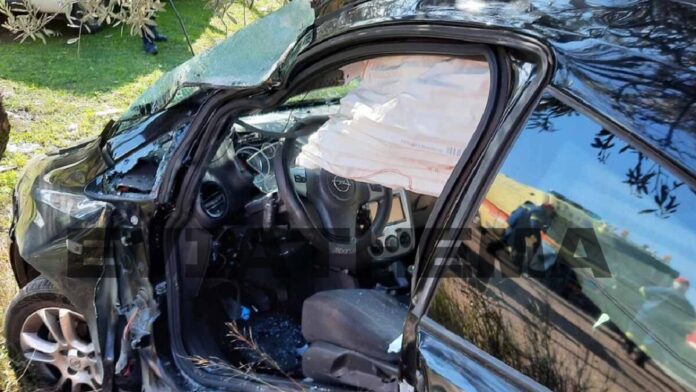 troxaiodrosiaa 1200x675 1.jpg