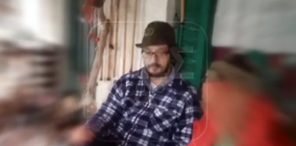 vas3.png
