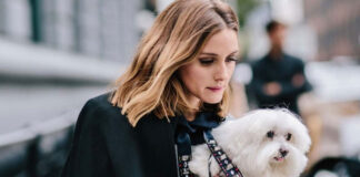 Γιατί είναι σημαντικό το microchip για τα κατοικίδια ζώδια.jpg