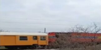 11 5.jpg
