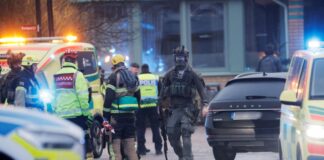 2025 02 04T153930Z 542978919 RC2RNCA5R4SK RTRMADP 5 SWEDEN CRIME 1 1024x683.jpg