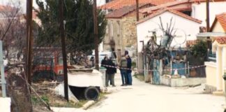 22 2.jpg