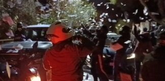 3 252863 508166 type13260 1024x558.jpg