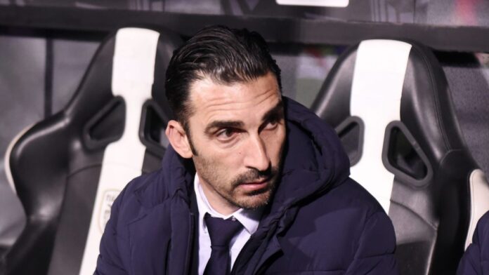 4571511 scaled e1739488626851.jpg