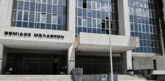 5595191 1 1024x682 1.jpg