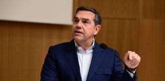 6317937 1024x683.jpg