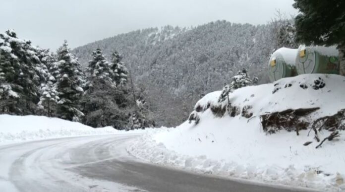 Capture 244.jpg Capture 244.jpg