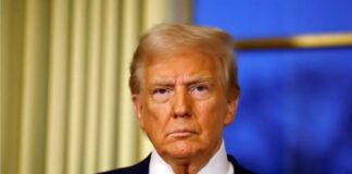 Ntonalnt Trump 1.jpg