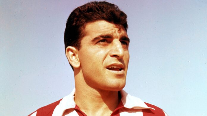 SDGDGDG 1.jpg SDGDGDG 1.jpg