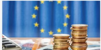 Tameio Anakampsis 2.jpg