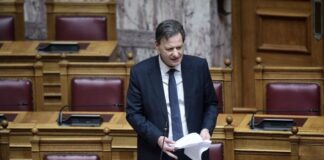 Thodwris Skylakakis 1 1.jpg