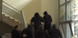 anilikoi 2.png