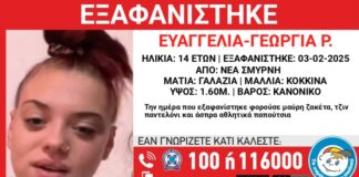 exafanisi.jpg
