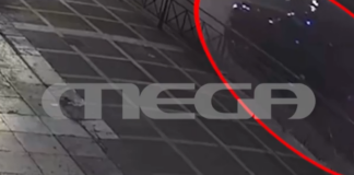 mastoras34.png