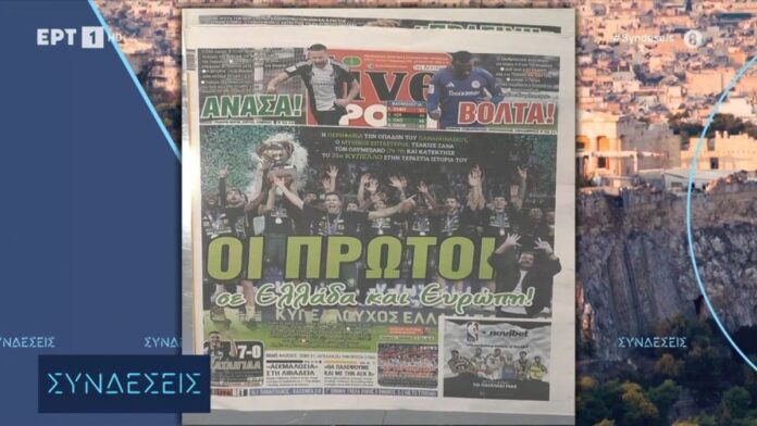 protoselida 7.jpg protoselida 7.jpg