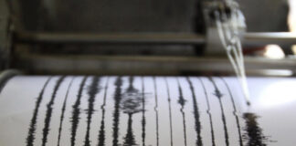 seismografos ape.jpg