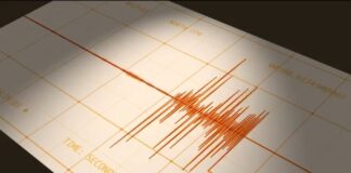 seismosss.jpg