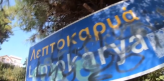 siamiyra8.png