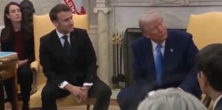 tramppp.jpg