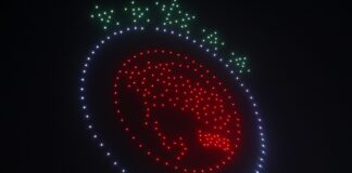 4608247.jpg