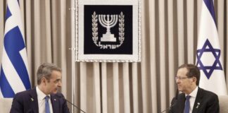 4633630 1200x800 1 1024x683.jpg