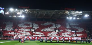 6449496.jpg