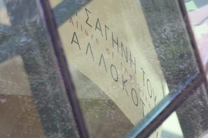 6494296 1200x798 1 1024x681.jpg