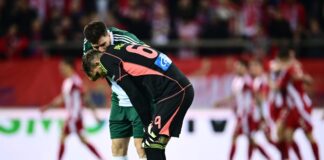 6519195 scaled e1743409304392.jpg