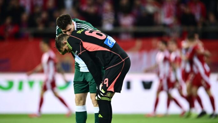 6519195 scaled e1743409304392.jpg