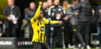 AP23098557111120 1.jpg