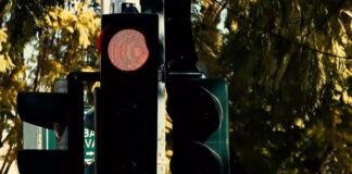 Capture 113.jpg