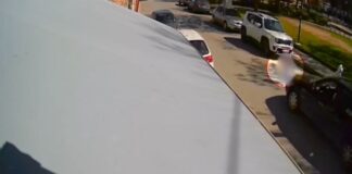 Capture 116.jpg