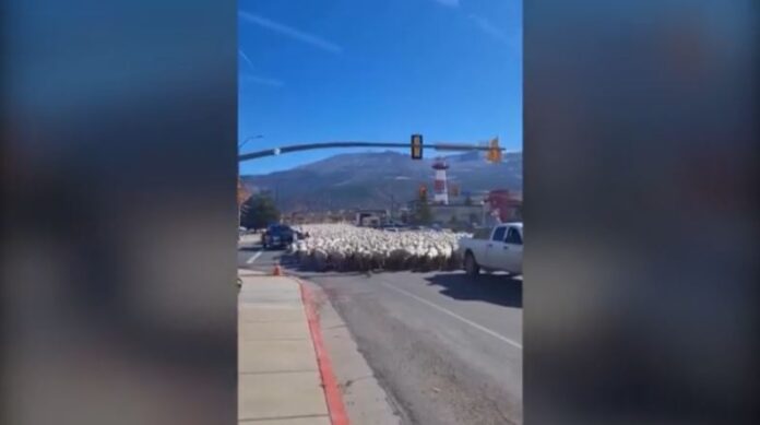 Capture 127.jpg Capture 127.jpg