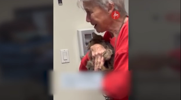 Capture 168.png Capture 168.png